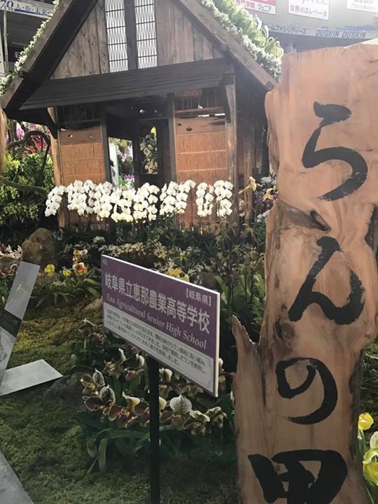 東京ドームにて開催中の世界らん展にお邪魔しました。