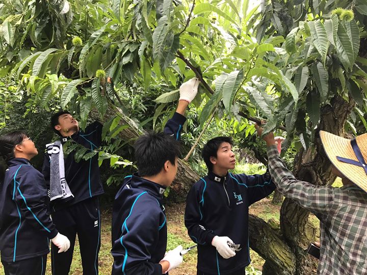 恵那南高校は、昨年から恵那川上屋と連携し、六次産業について学んでいます。