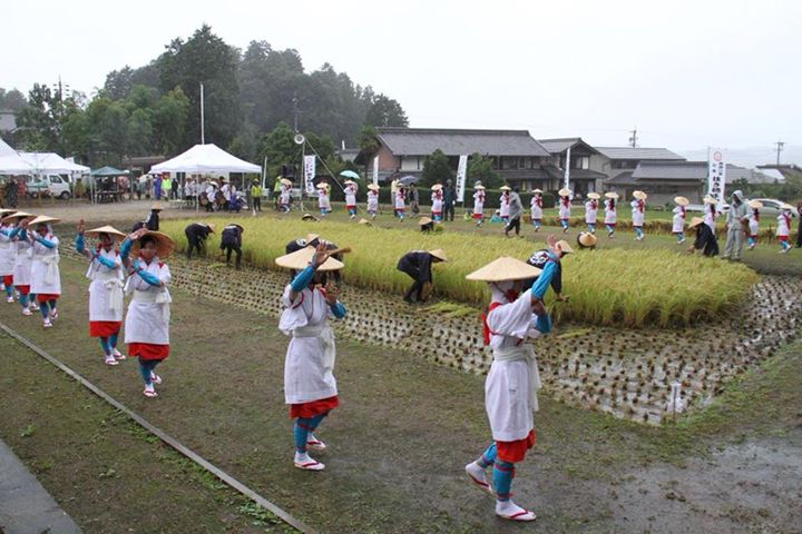 収穫の秋
