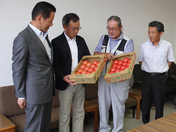 トマトの出荷開始！